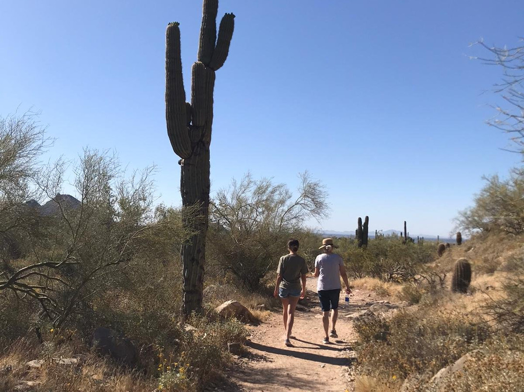 Lost Dog Wash Trail-斯科茨代尔必去景点