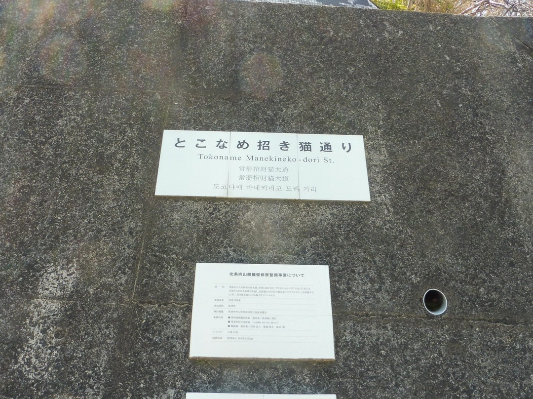 Tokoname Manekineko Street-常滑市必去景点