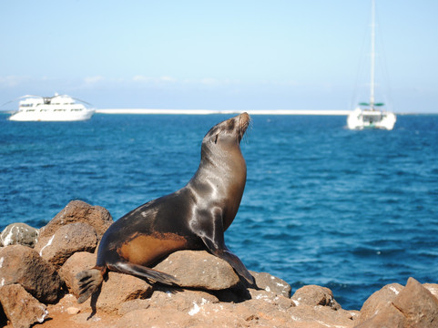 Come to Ecuador Travel