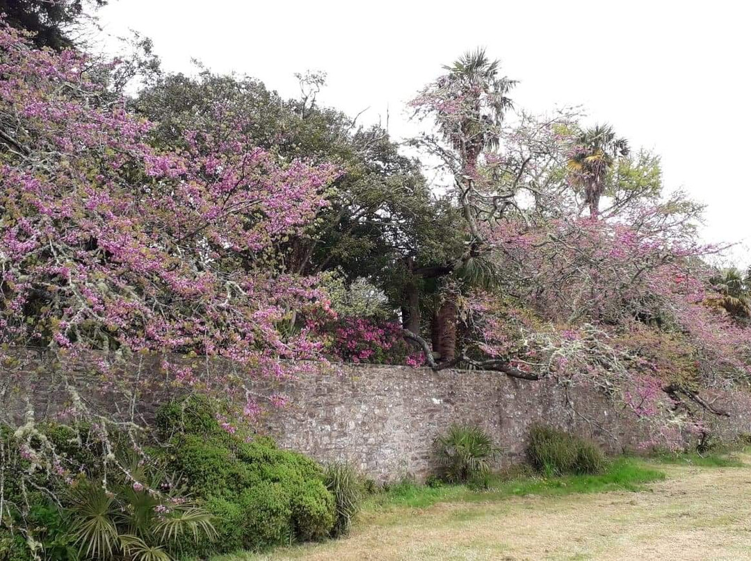 Château de Lanniron - Parc & jardins-坎佩尔必去景点