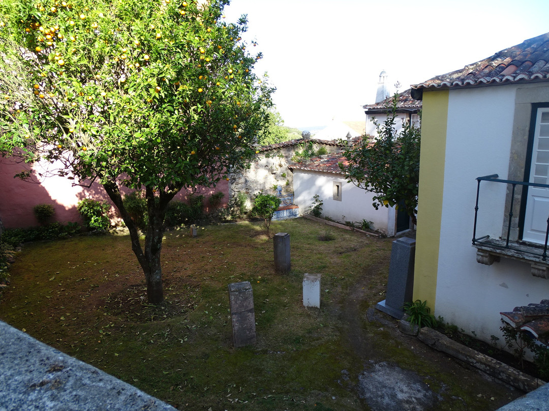Museu Ferreira De Castro景点图片