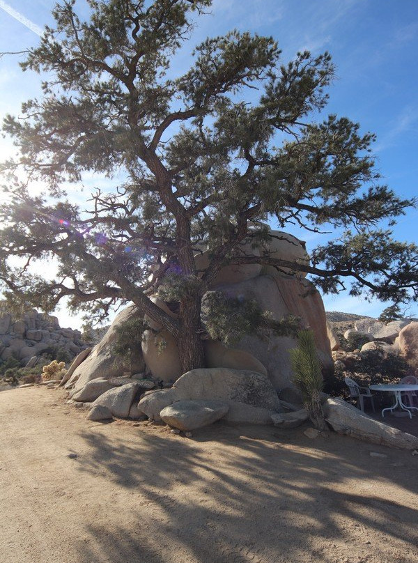 Boulder Gardens Sanctuary