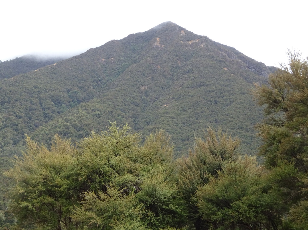 Gentle Annie Highway-Hawke's Bay Region必去景点