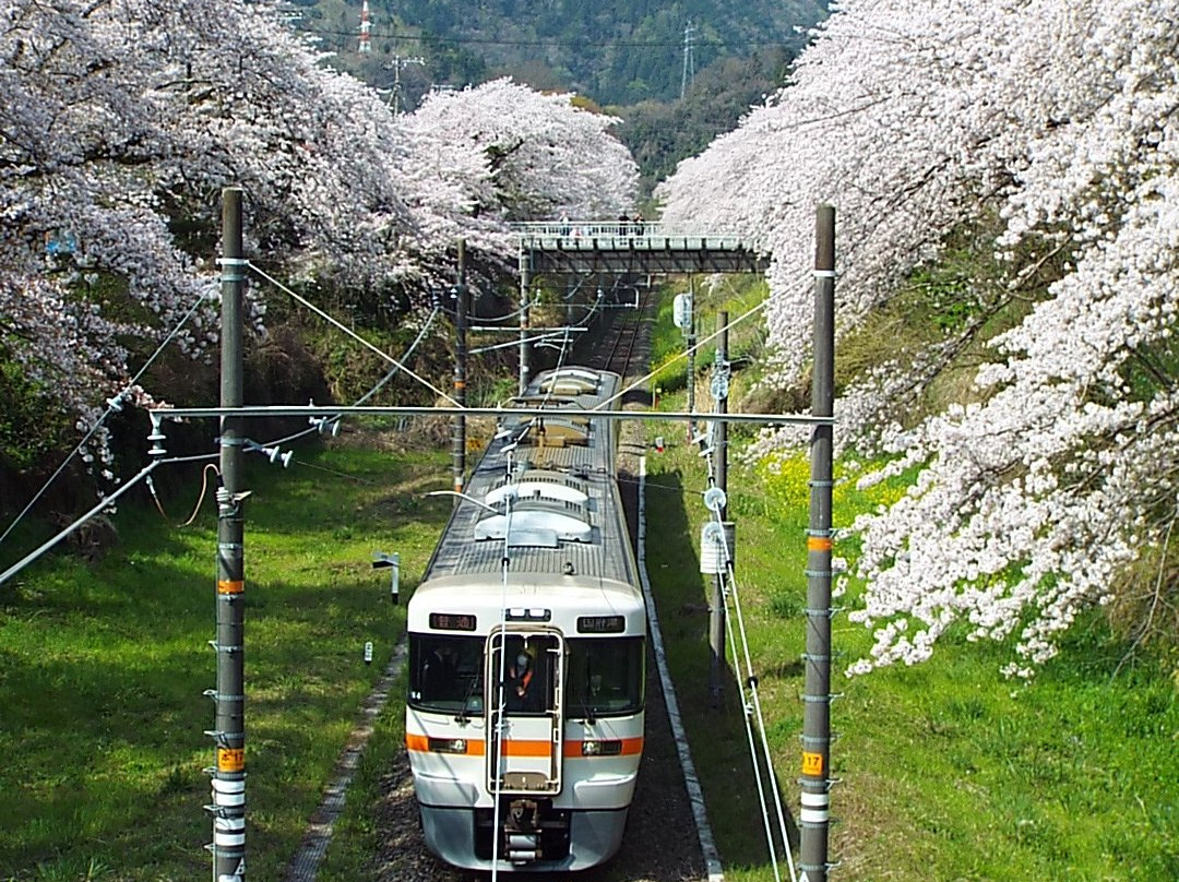 Yamakita Town Railway Park景点图片