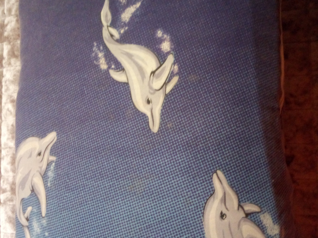 Atherton Tablelands Visitor Information Centre- 阿瑟顿必去景点