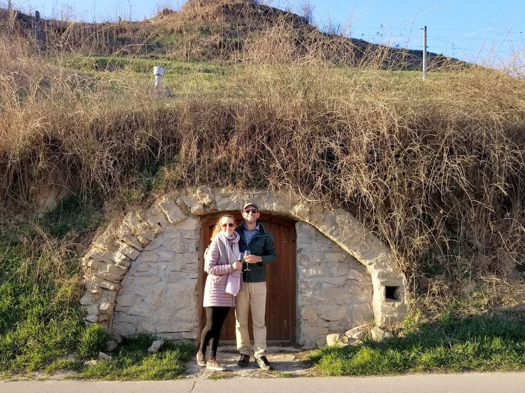 Sandomierska Winery景点图片