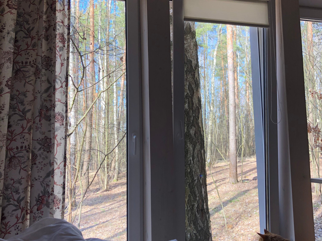 Skripovo旅游攻略图片