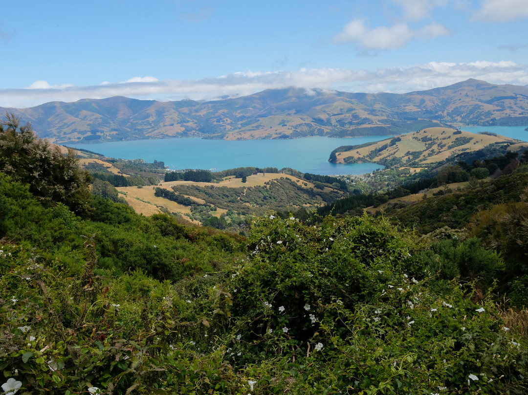 Hinewai Reserve-阿卡罗阿必去景点