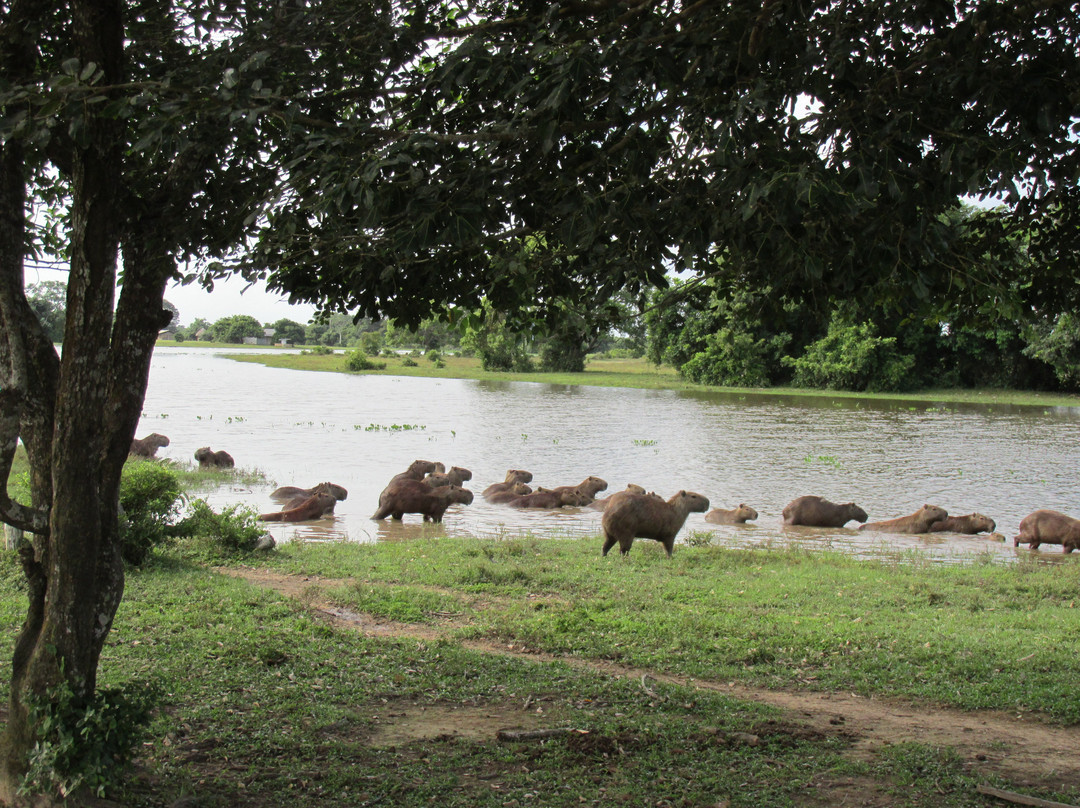 Phoenix Travel Group Colombia-波哥大必去景点