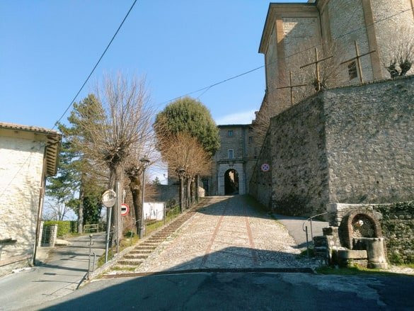 Collegiata di San Michele Arcangelo景点图片