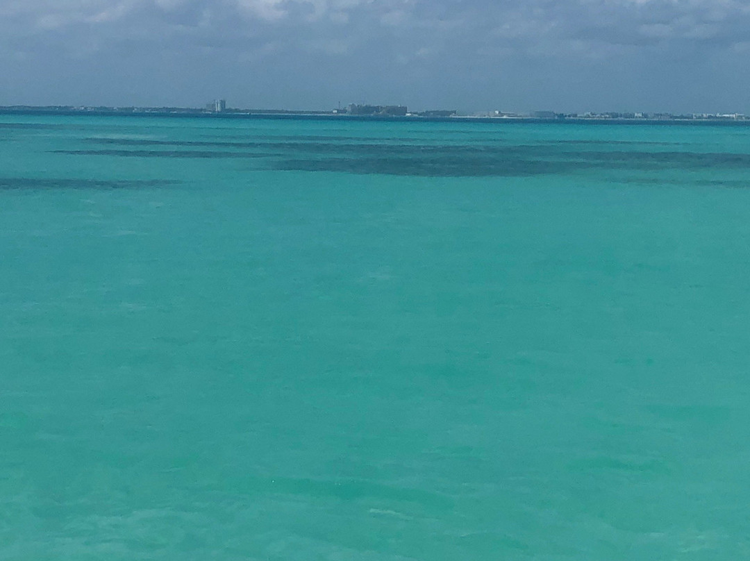 Marina La Bonita-从莫雷洛斯港必去景点