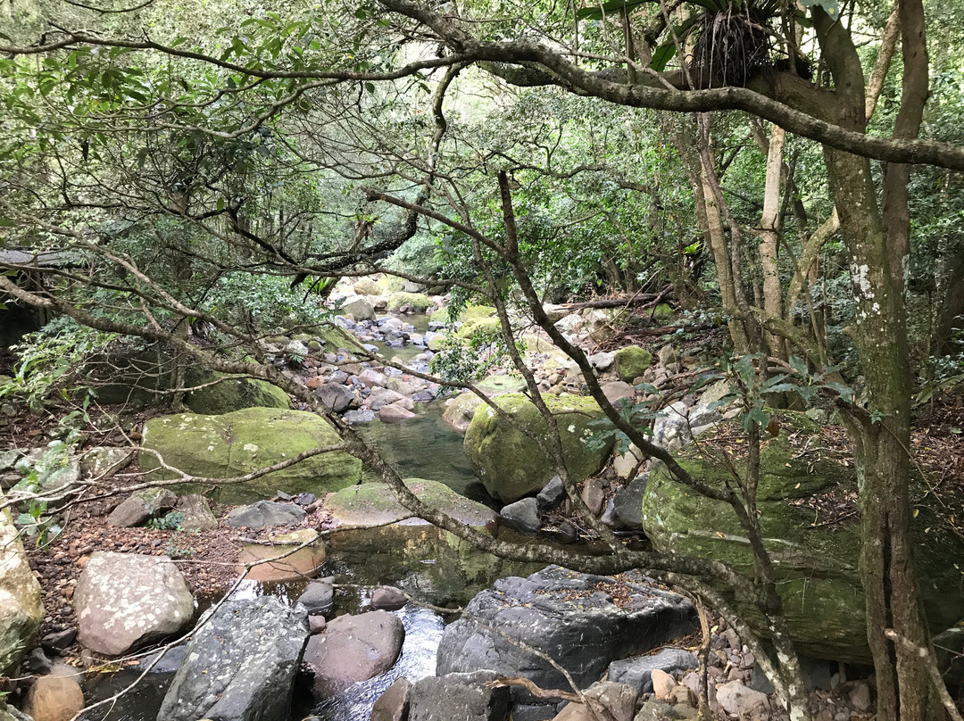 Minnamurra Falls景点图片