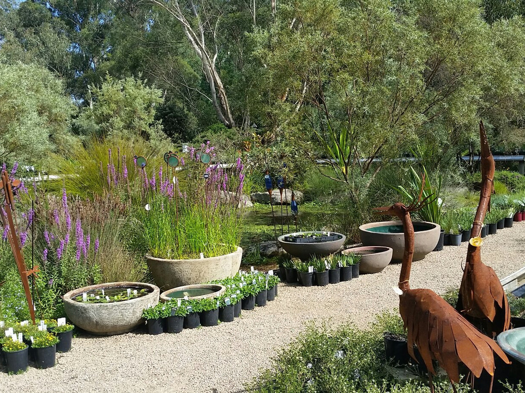 Kuranga Native Nursery-Mount Evelyn必去景点