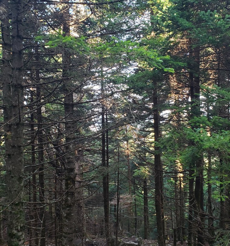 Dryades Guesthouse主图