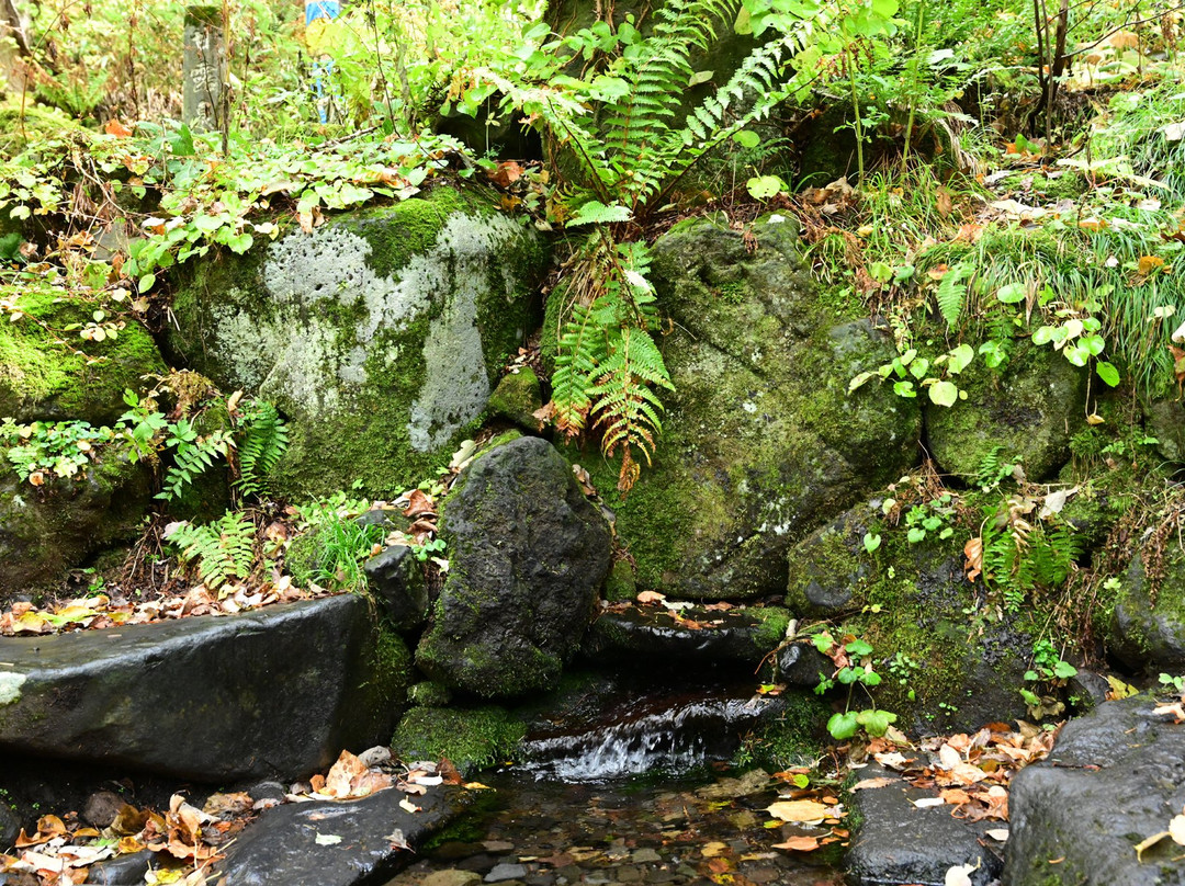 Kanro Spring Water-利尻富士町必去景点