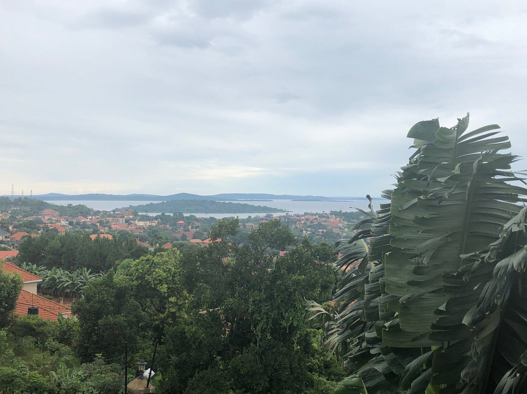 Ewaange - A Casa Mia主图