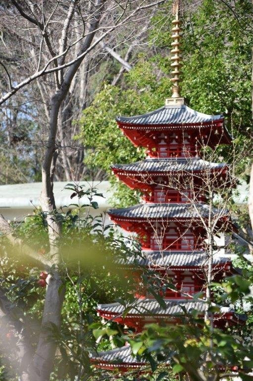Otaka no Michi Spring Park-国分寺市必去景点