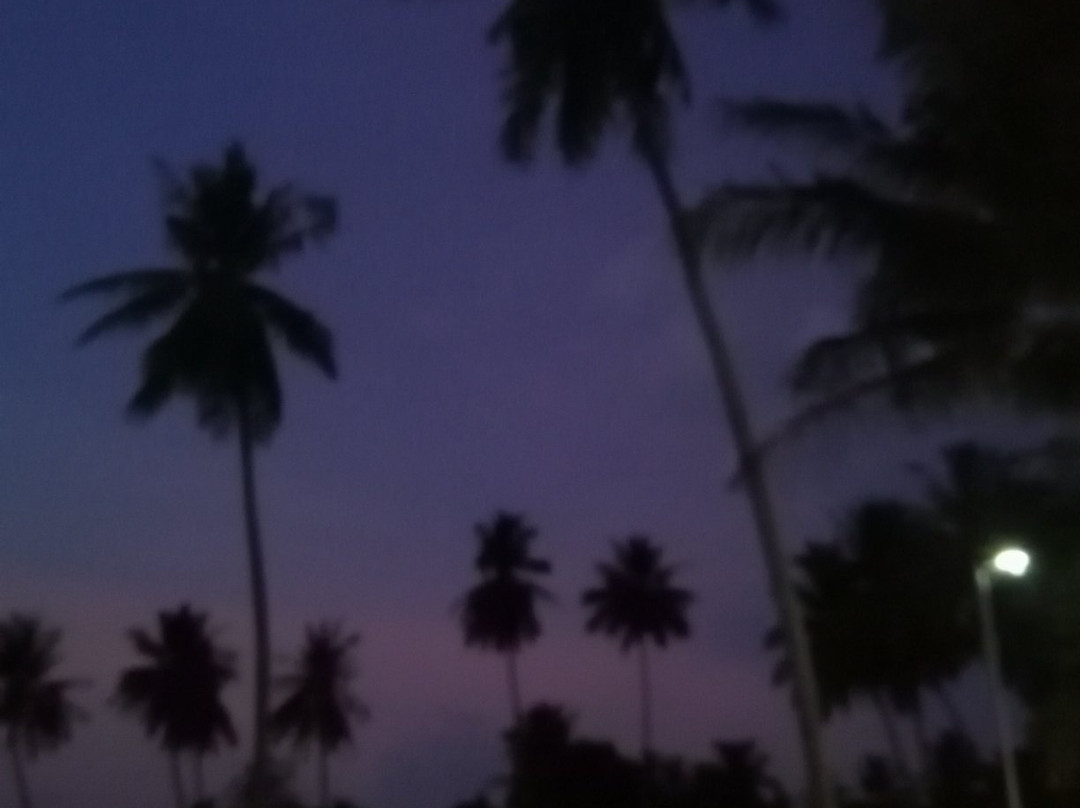 Yao Island Resort and Farm主图