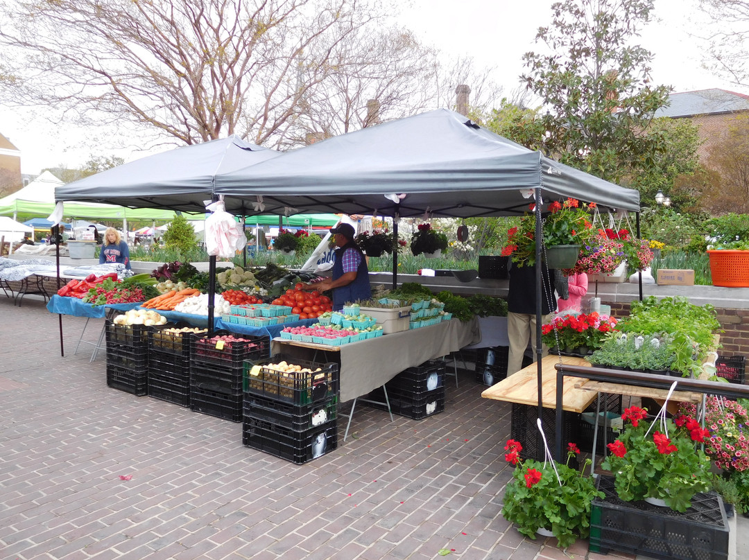 King Street Trolley-亚历山德里亚必去景点