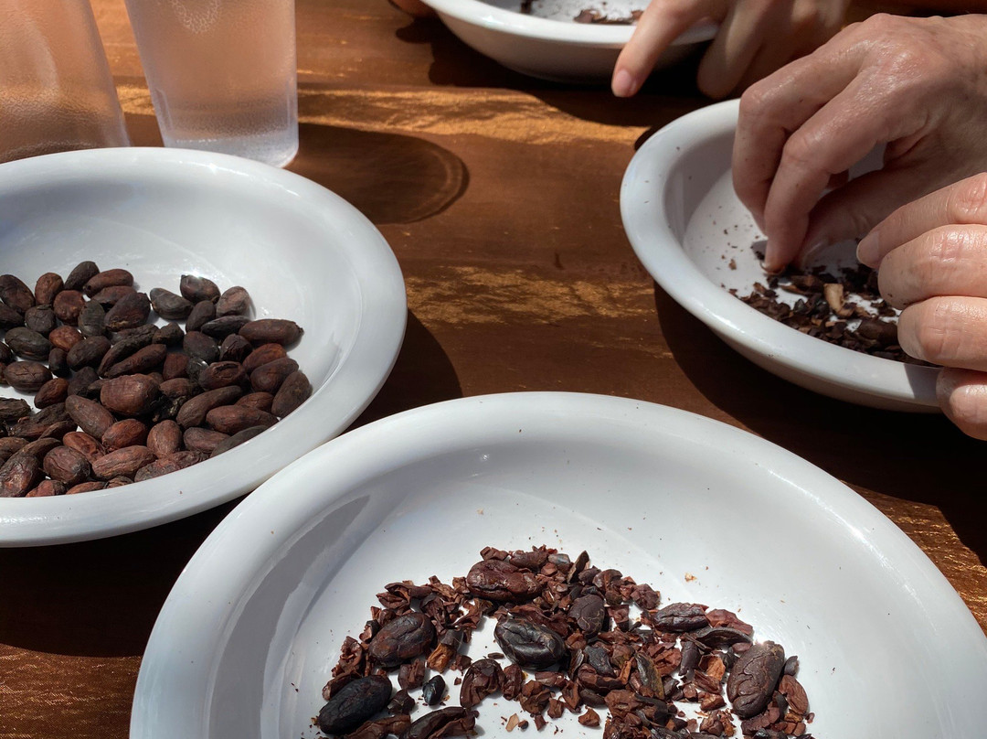 The Beach Chocolate Factory景点图片
