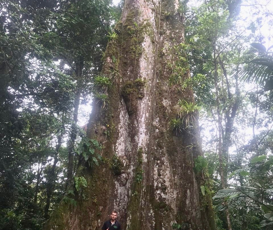 Side by Side ATV Tours & WILD LIFE-Playa Langosta必去景点