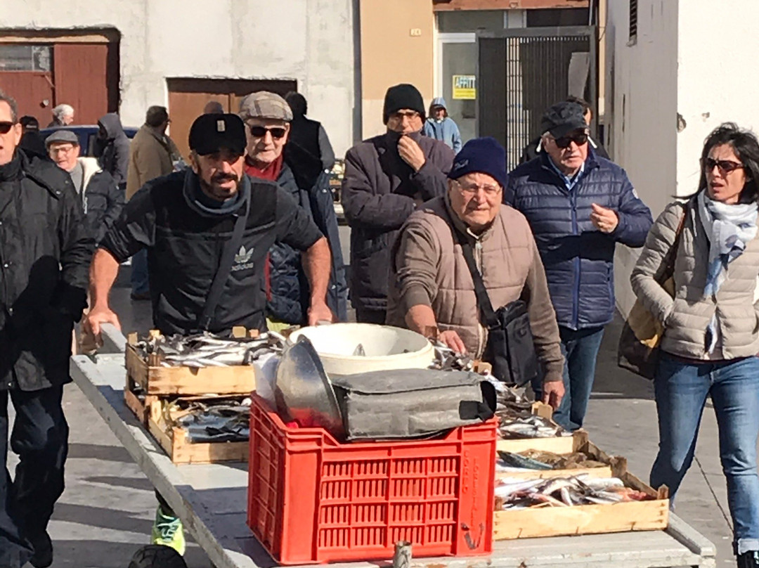 Mercato del Pesce di Trapani景点图片