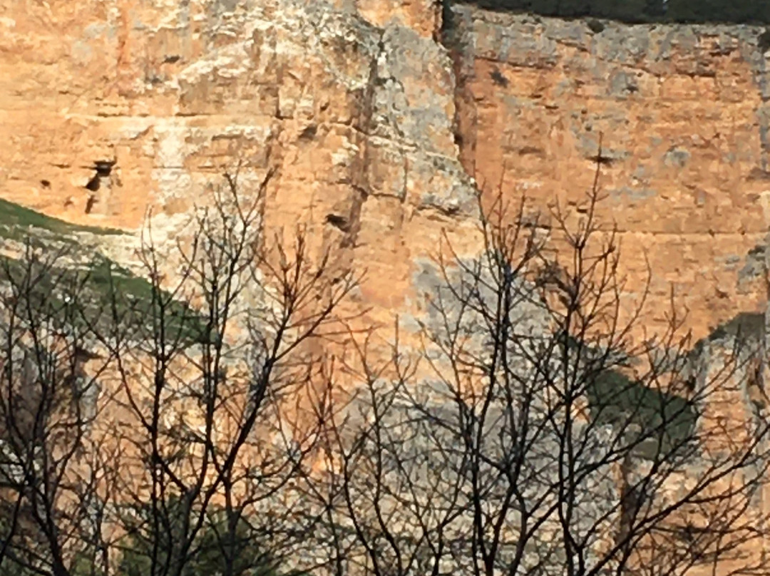 El Vuelo del Buitre景点图片