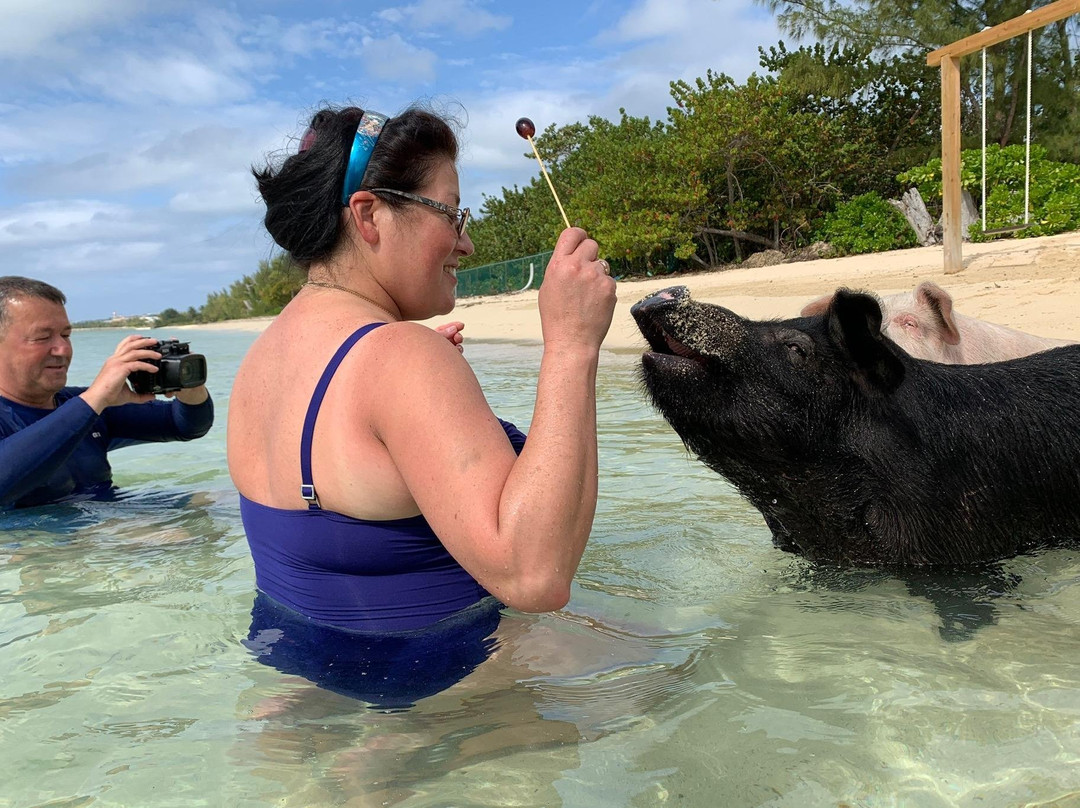 Da Pig Beach Nassau-拿骚必去景点