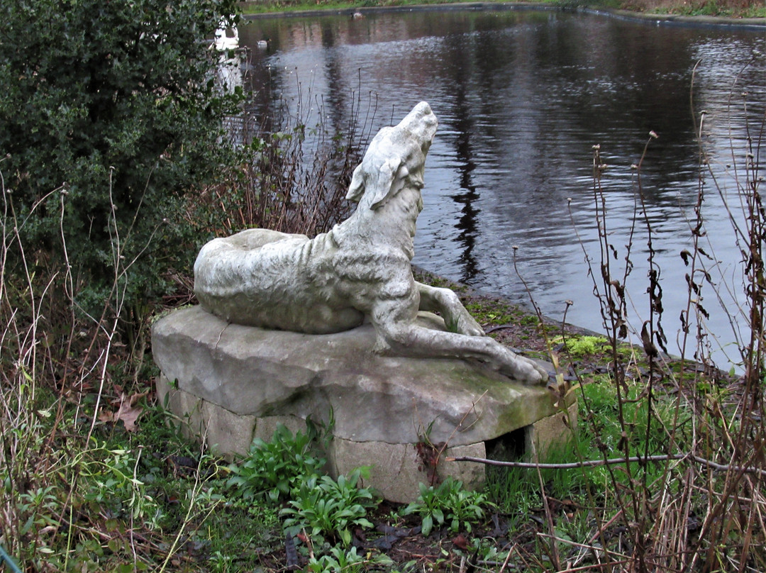 Chien hurlant à la lune