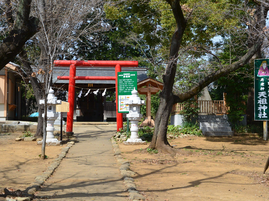 Yono Park-埼玉市必去景点