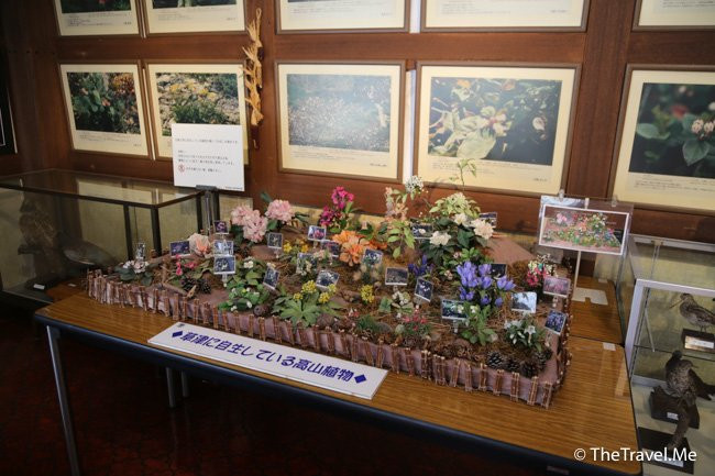 Kusatsu Visitor Center景点图片