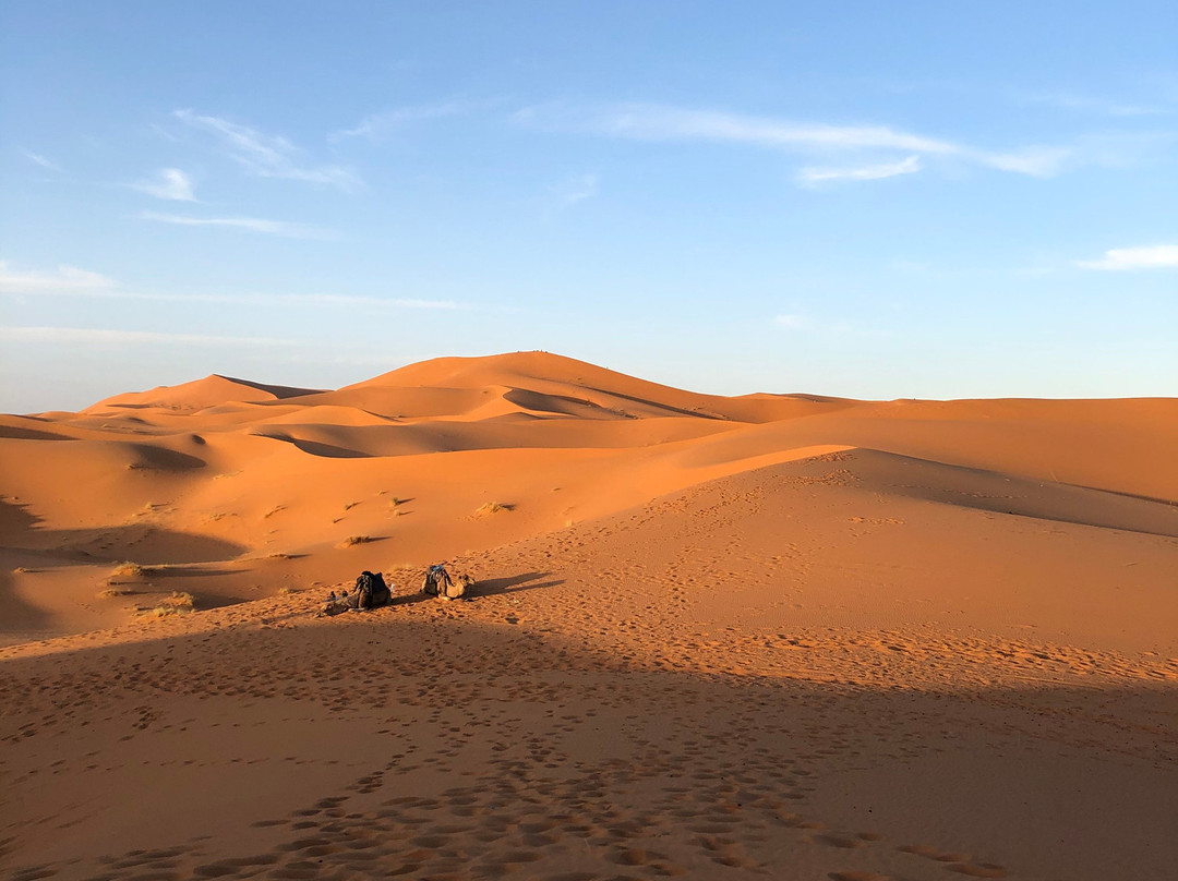 Desert Tours Marocco  Day Tours-梅如卡必去景点
