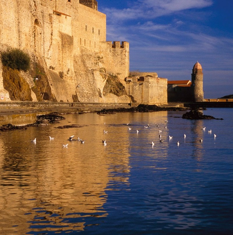 Château Royal de Collioure景点图片