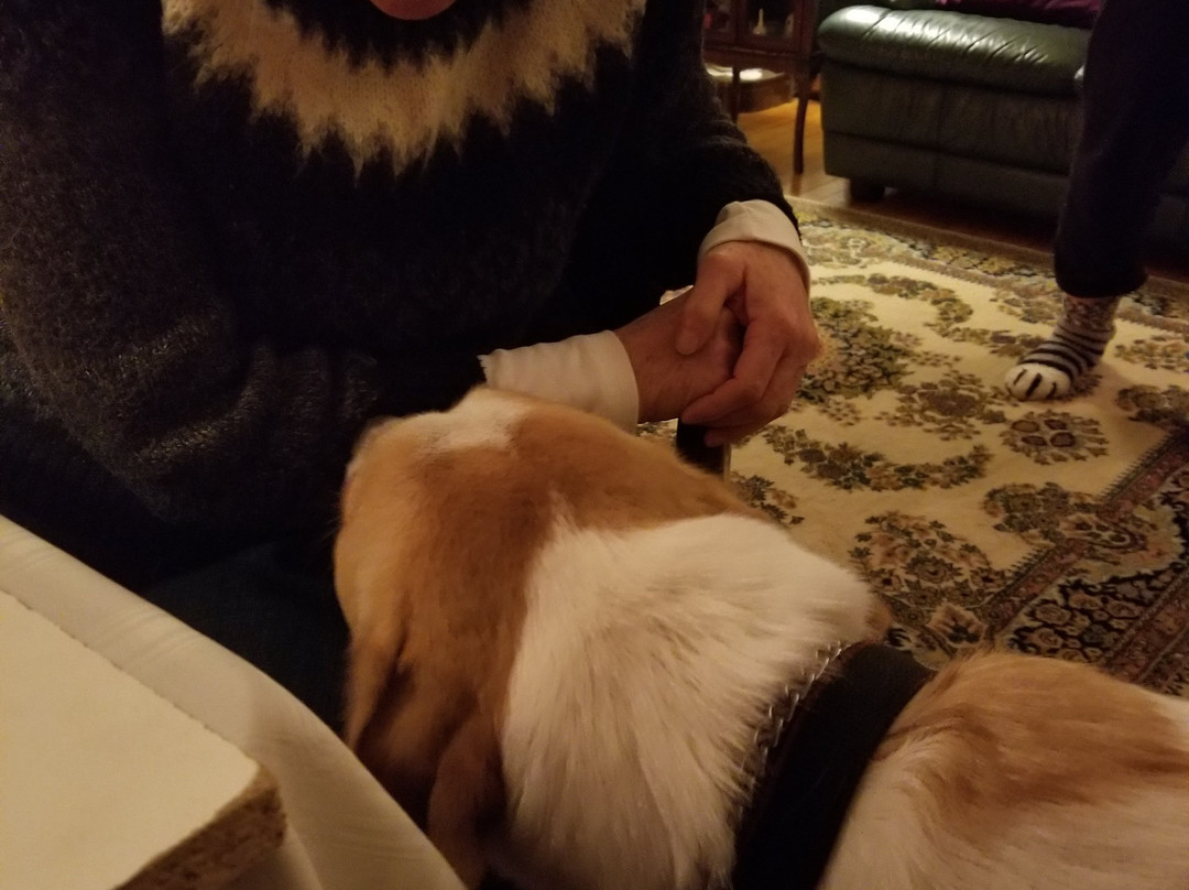 Cheney House Bed & Breakfast主图