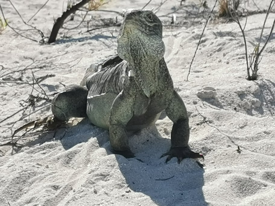 Half Moon Bay-普罗维登西亚莱斯必去景点