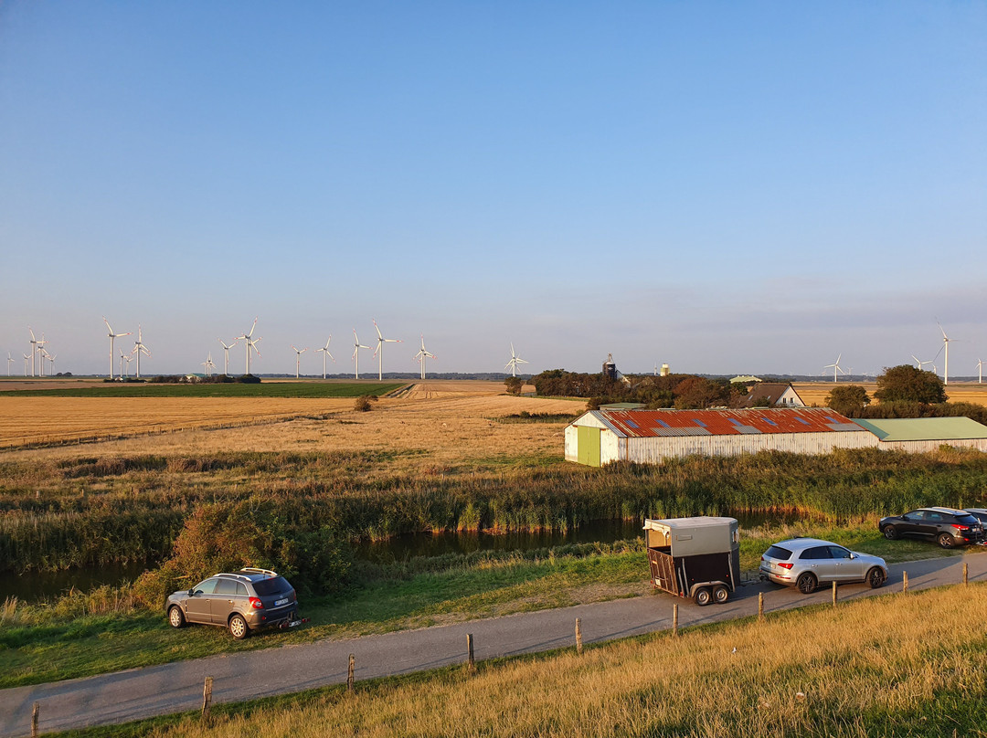 Hamburger Hallig-Bredstedt必去景点