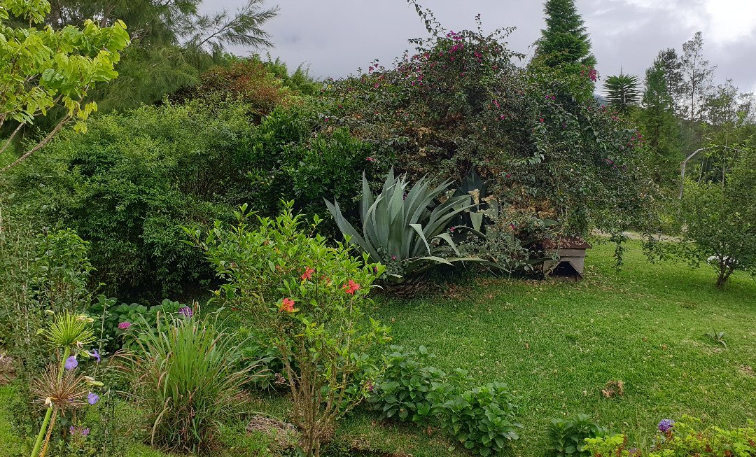 Le Jardin Des Bestioles景点图片