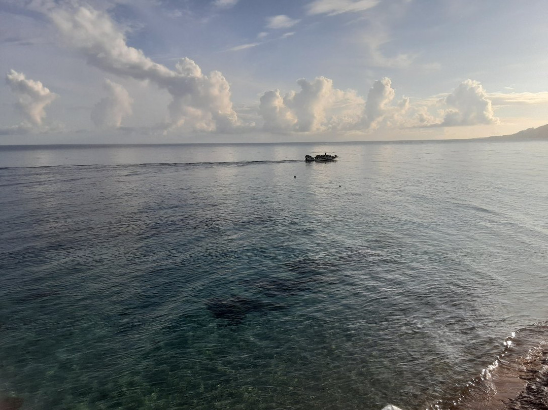 Green Coconut Guest House主图