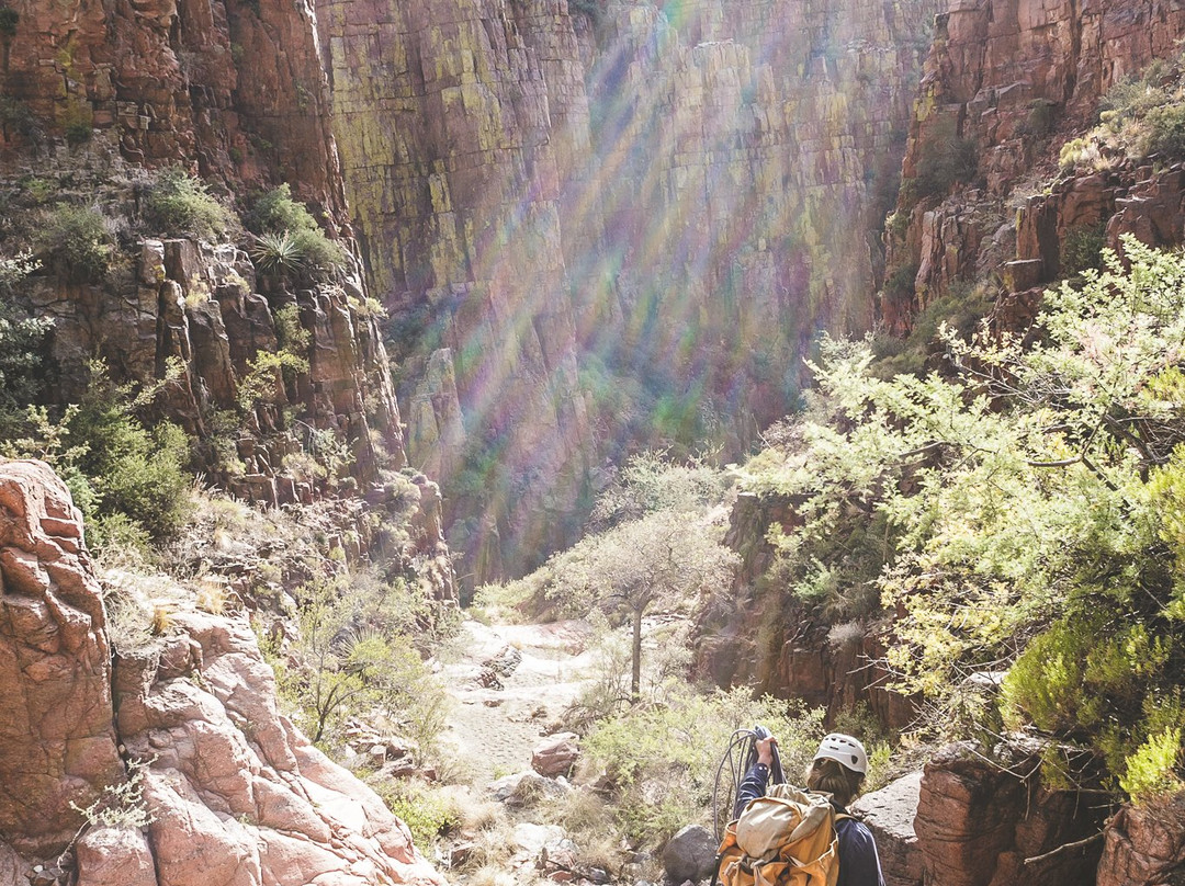 Phoenix Wilderness Adventures-Young必去景点