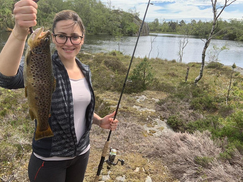 Base Camp Litlandstrand-弗莱克菲尤尔必去景点