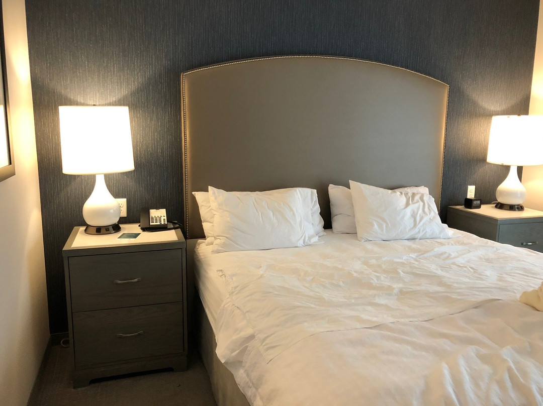 Homewood Suites by Hilton Worcester主图