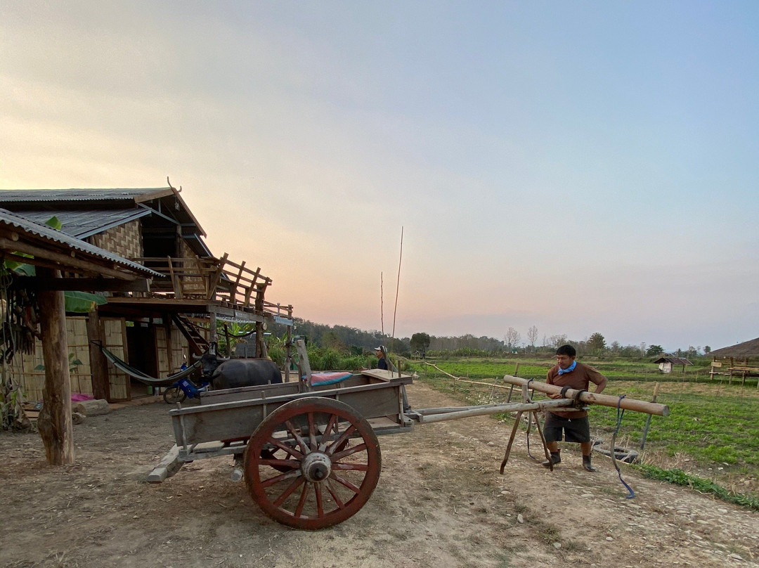 DaiDib DaiDee Permaculture Thailand景点图片