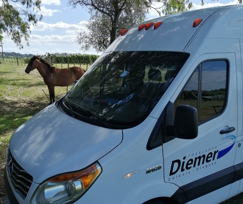 Bodega Los Cerros De San Juan-科洛尼亚·德尔萨克拉门托城必去景点