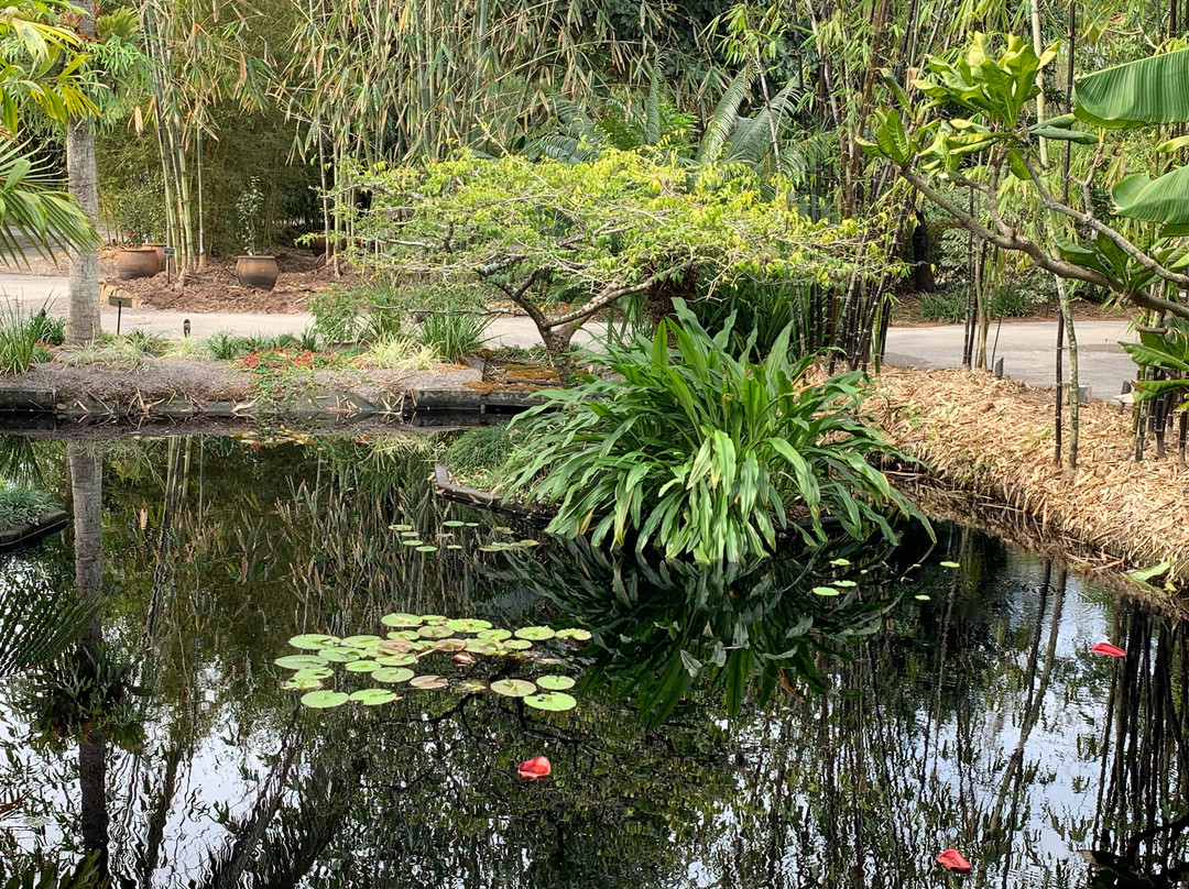 Naples Botanical Garden景点图片