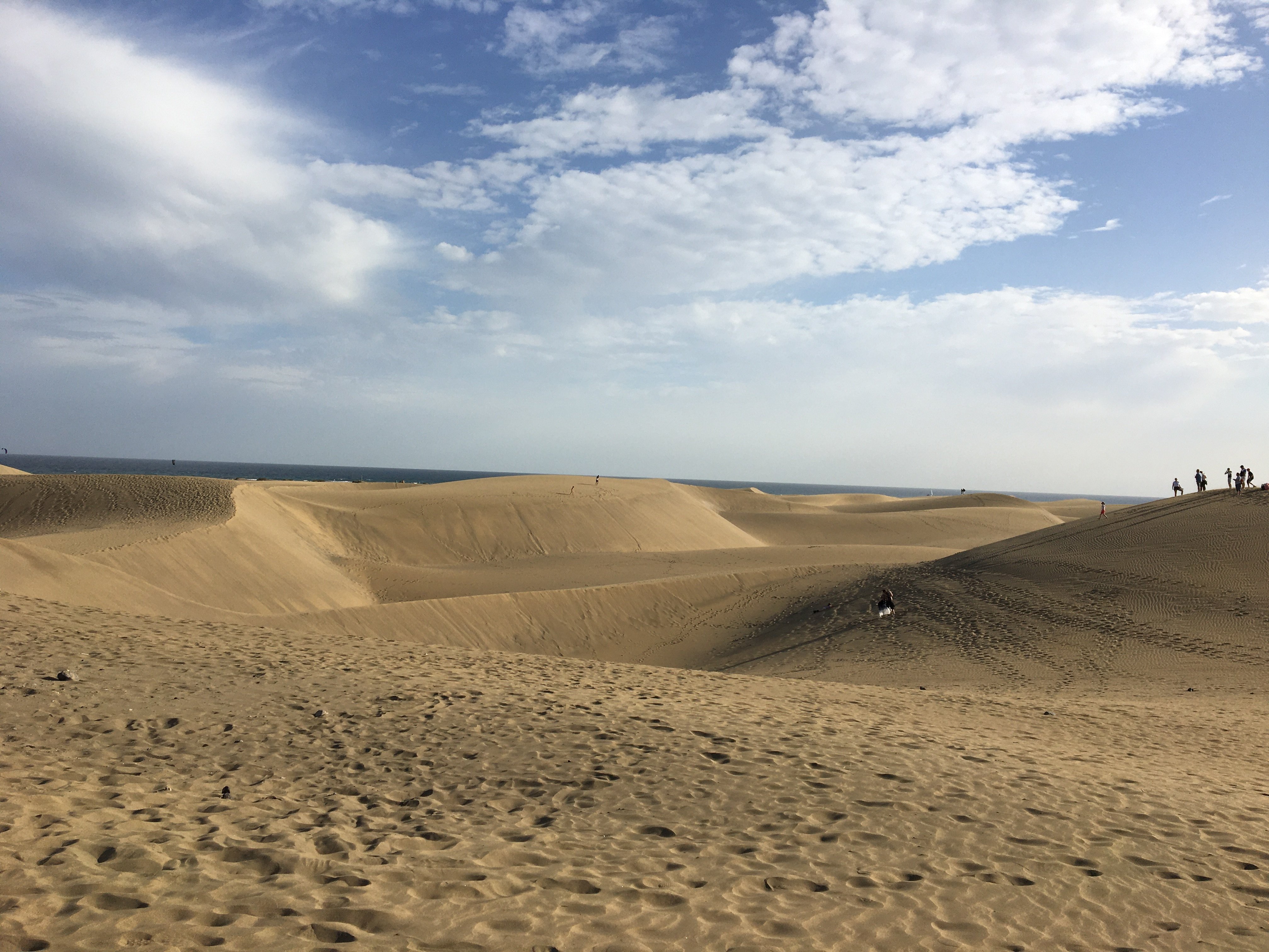 Bungalows Vista Oasis-泳池