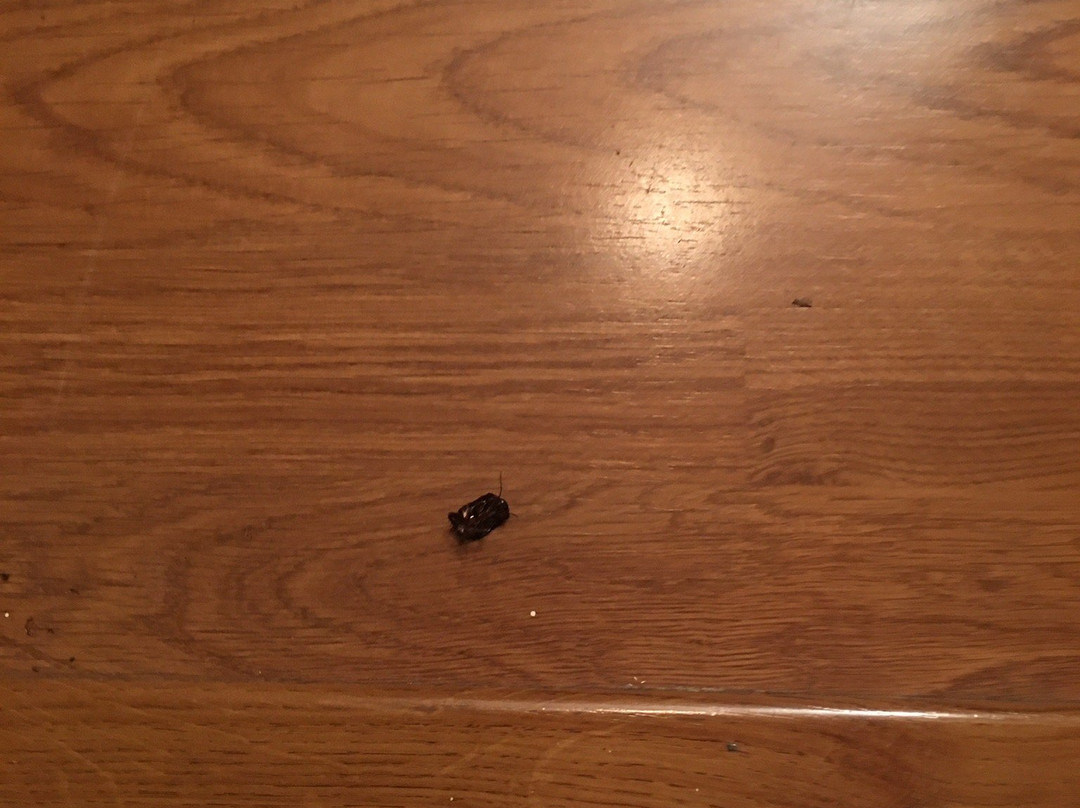 Parkview Getaways主图