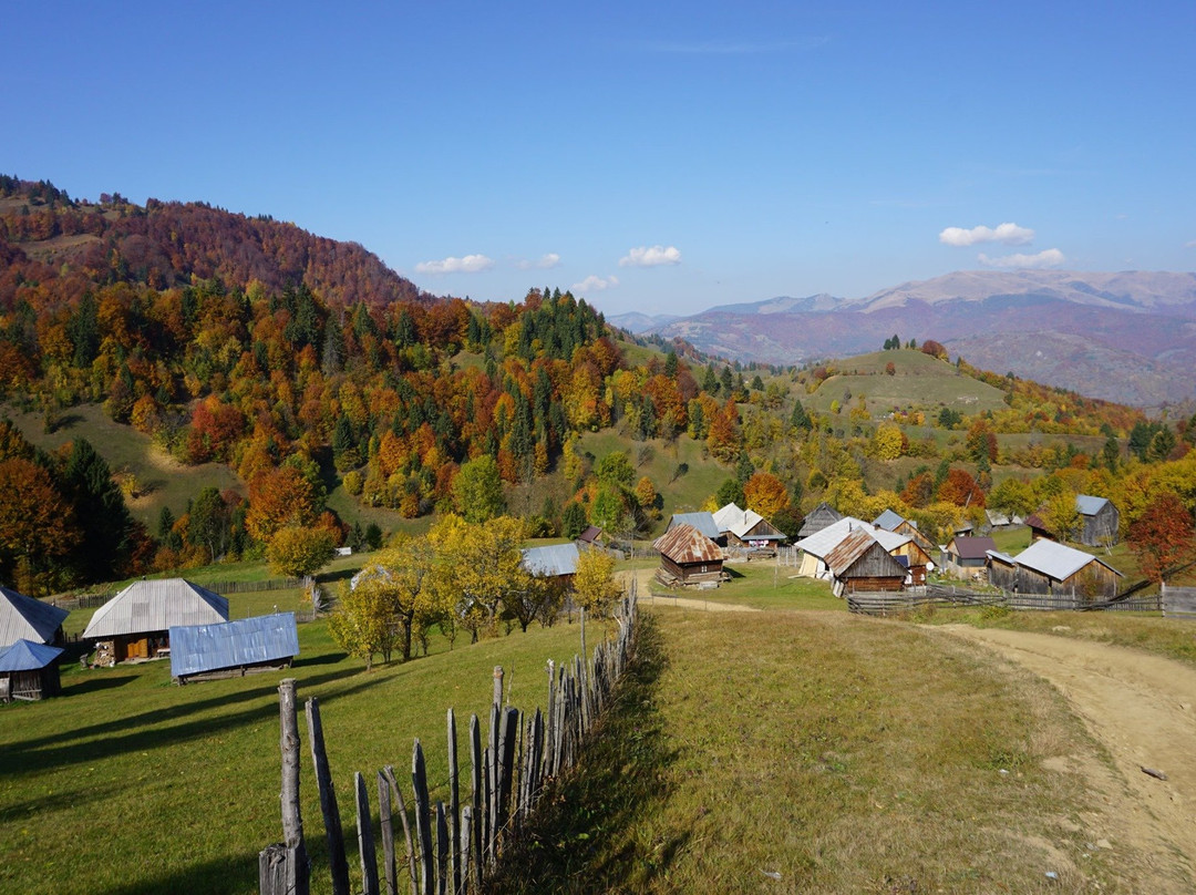 Maramures Tours景点图片