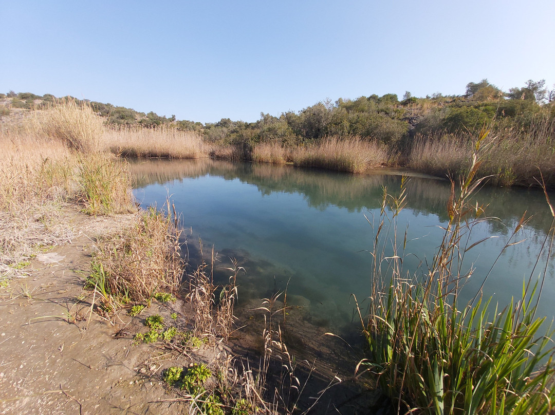 Parque Natural del Marjal de Pego-Oliva景点图片