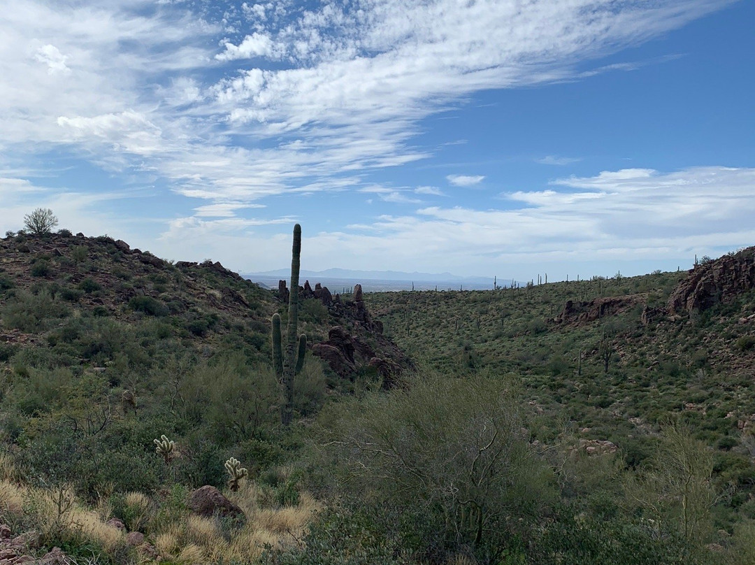 Hieroglyphic Canyon Trail-Gold Canyon必去景点