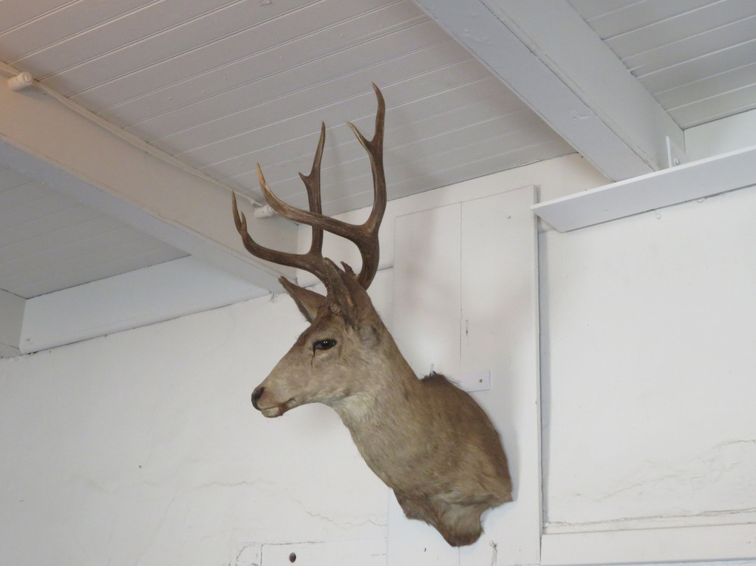 Alviso Adobe Community Park-普莱森顿必去景点